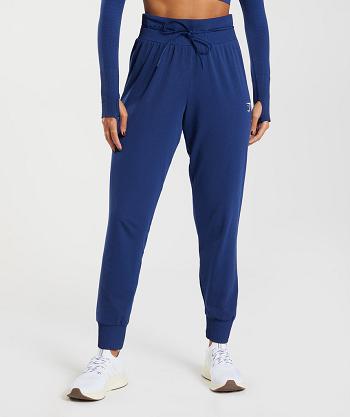 Dámské Kalhoty Jogger Gymshark Vital Seamless 2.0 Blankyt | CZ 4113LIS